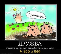 Дружба