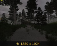 2772708.jpg