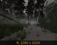 2772713.jpg