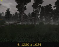 2772716.jpg