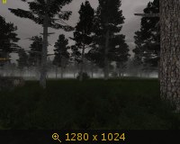 2772717.jpg