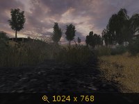 2871730.jpg