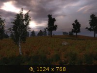 2871764.jpg