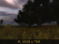 2877105.jpg
