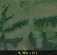 2879523.jpg