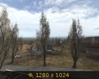 291807.jpg