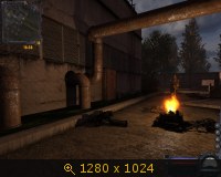 301767.jpg