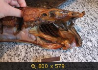 Рыбочистка Kerle Koch КК-25 (СП, Москва и МО)