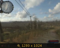 305062.jpg