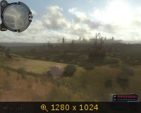 305063.jpg