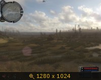 305064.jpg