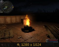 305074.jpg