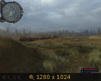 305079.jpg
