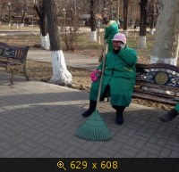 Показать изображение