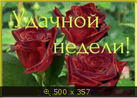 Удачной недели!